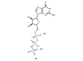 Guanylyl Imidodiphosphate – Figure 1 of 1