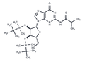 N2-iBu-2',3'-bis-O-TBDMS   guanosine – Figure 1 of 1