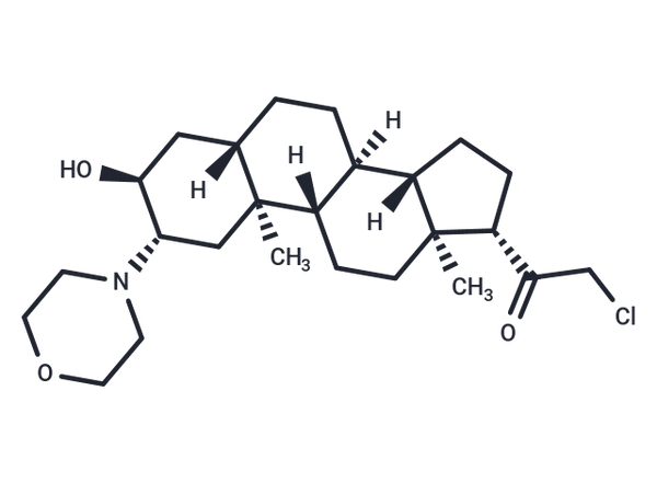 Org 20599 – Figure 1 of 1