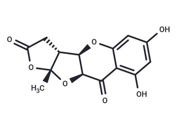 Planchol E – Figure 1 of 1