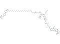 CL2E-SN38 – Figure 1 of 1