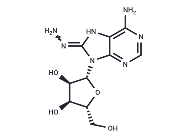 8-Hydrazinoadenosine – Figure 1 of 1