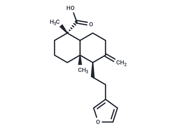 Polyalthic acid – Figure 1 of 1