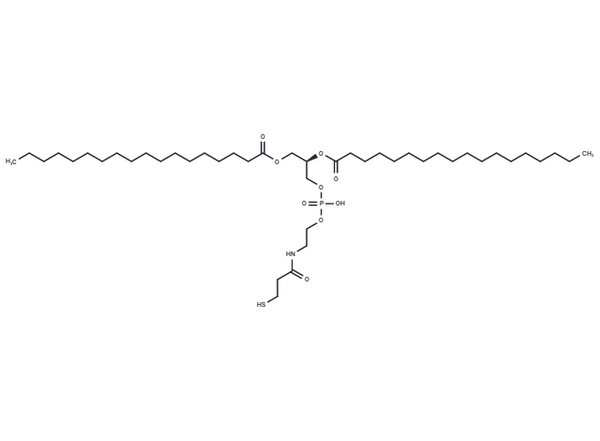 DSPE-Thiol – Figure 1 of 1