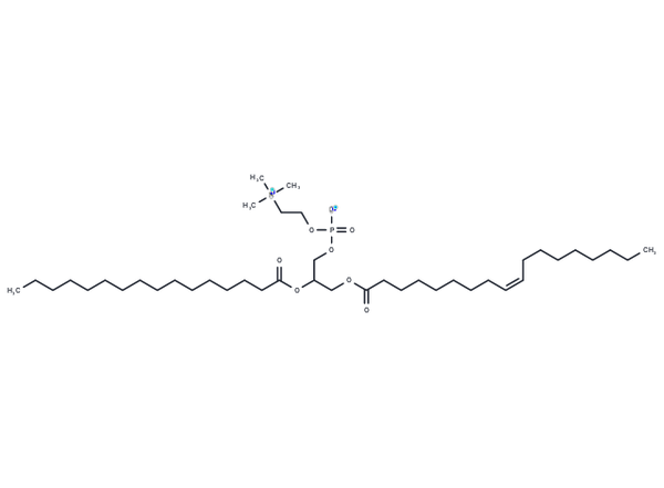 Phosphatidyl choline (from egg yolk) – Figure 1 of 1