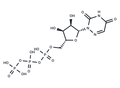 6-Azauridine triphosphate – Figure 1 of 1