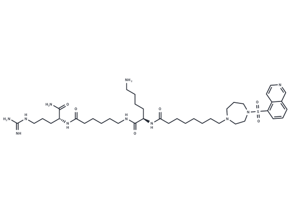 ARC-3002 – Figure 1 of 1