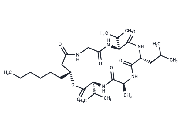 Isariin B – Figure 1 of 1