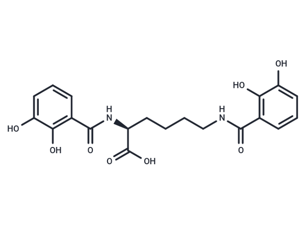 Azotochelin – Figure 1 of 1