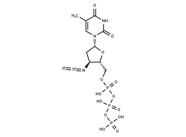AZT triphosphate – Figure 1 of 1