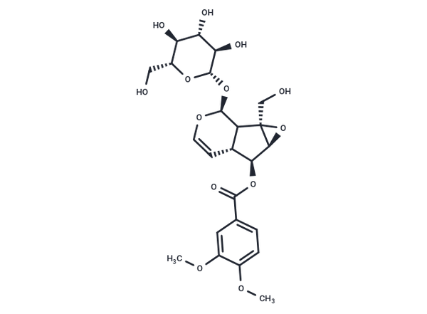 6-O-Veratroylcatalpol – Figure 1 of 1