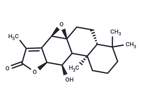 Ebracteolatanolide A – Figure 1 of 1