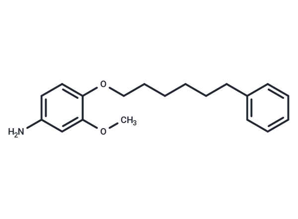 m-Anisidine, 4-((6-phenylhexyl)oxy)- – Figure 1 of 1