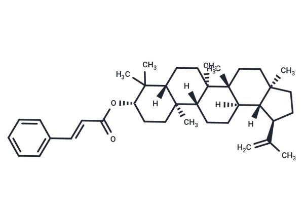 Lupeol trans-cinnamate – Figure 1 of 1