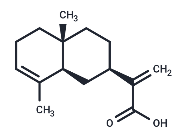 alpha-Costic acid – Figure 1 of 1