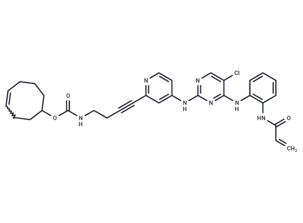 ERK1/2 inhibitor 9 – Figure 1 of 1