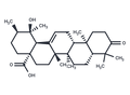3-Oxopomolic acid – Figure 1 of 1