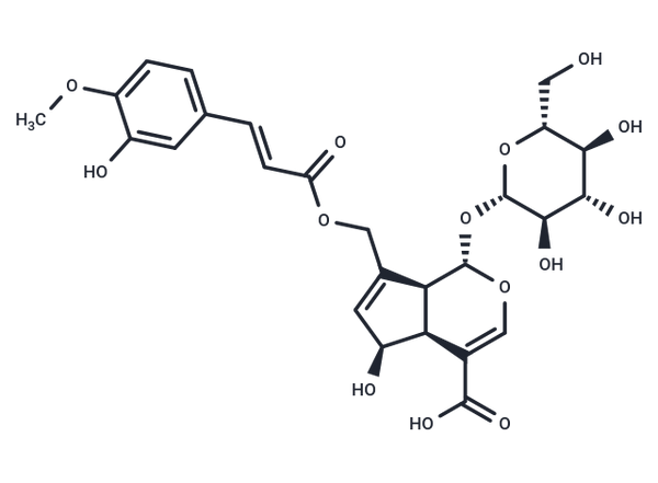 10-O-trans-p-Feruloylscandoside – Figure 1 of 1