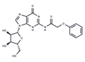 N2-Phenoxyacetylguanosine – Figure 1 of 1
