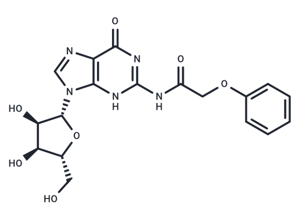 N2-Phenoxyacetylguanosine – Figure 1 of 1
