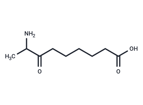 8-Amino-7-oxononanoic acid – Figure 1 of 1