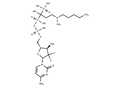 GEM–IB – Figure 1 of 1