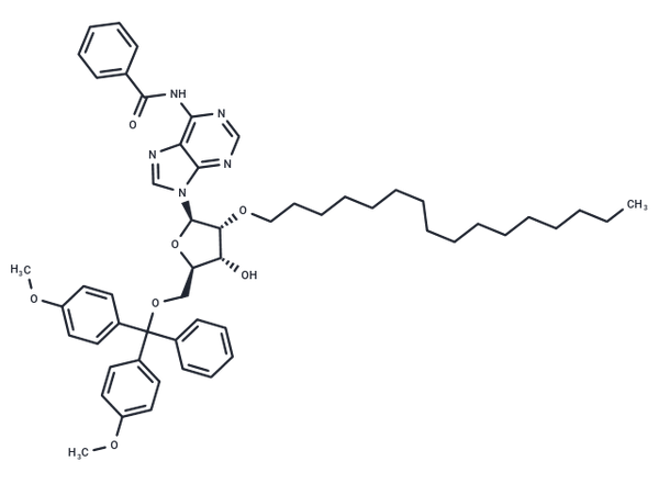 N6-Bz-5'-O-DMTr-2'-O-hexadecanyl adenosine – Figure 1 of 1