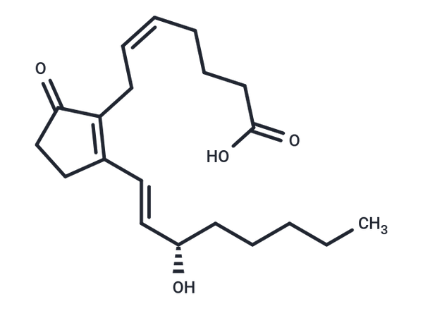 Prostaglandin B2 – Figure 1 of 1