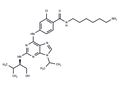 Protein kinase affinity probe 1 – Figure 1 of 1