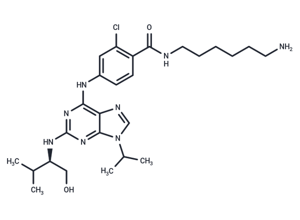 Protein kinase affinity probe 1 – Figure 1 of 1