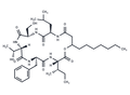 Serrawettin W2 – Figure 1 of 1