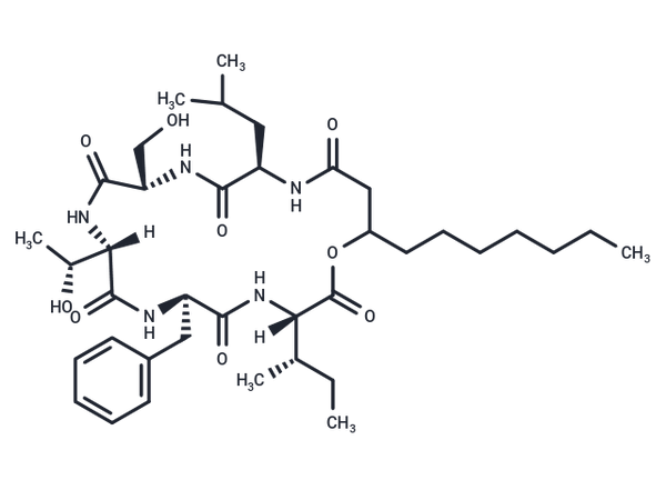Serrawettin W2 – Figure 1 of 1