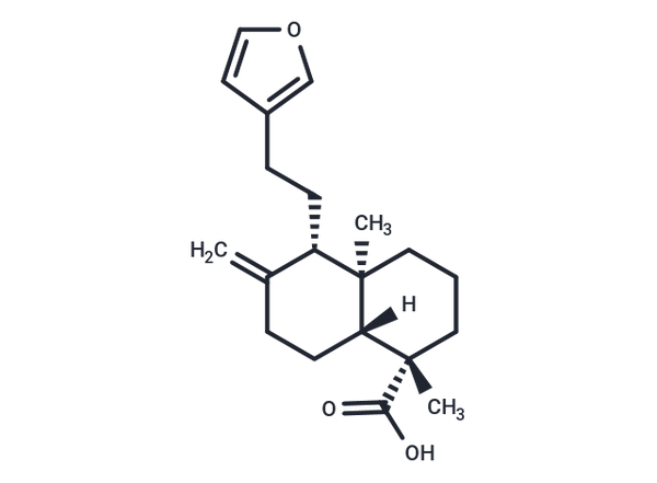 Lambertianic acid – Figure 1 of 1