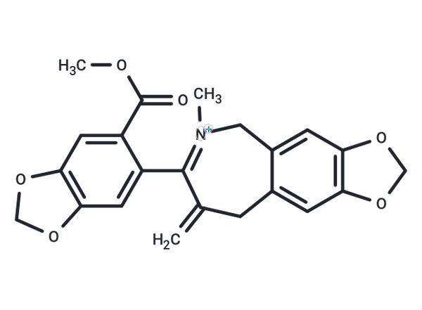 Leptocarpinine – Figure 1 of 1