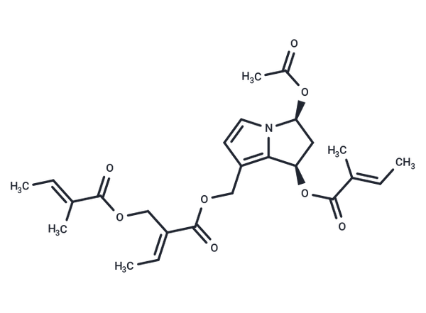 Senampeline B – Figure 1 of 1