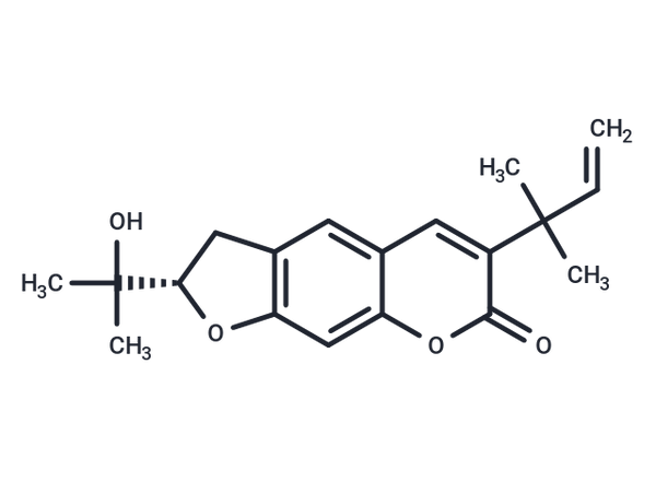 Chalepin – Figure 1 of 1