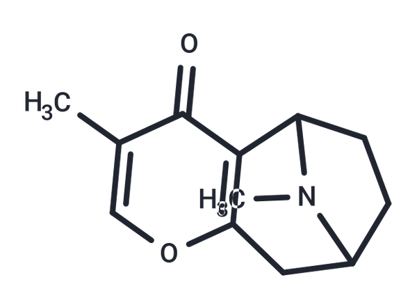 Bellendine – Figure 1 of 1