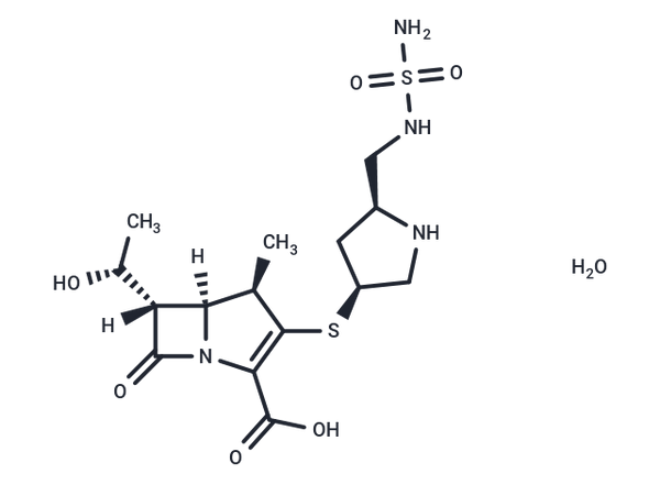 Doripenem hydrate – Figure 1 of 1