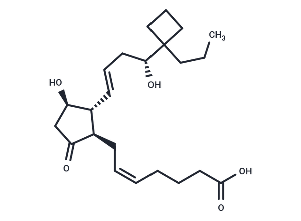 EP2 receptor agonist 4 – Figure 1 of 1