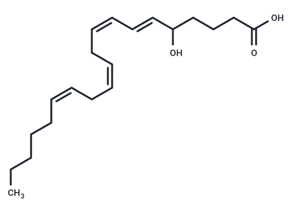 5-HETE – Figure 1 of 1