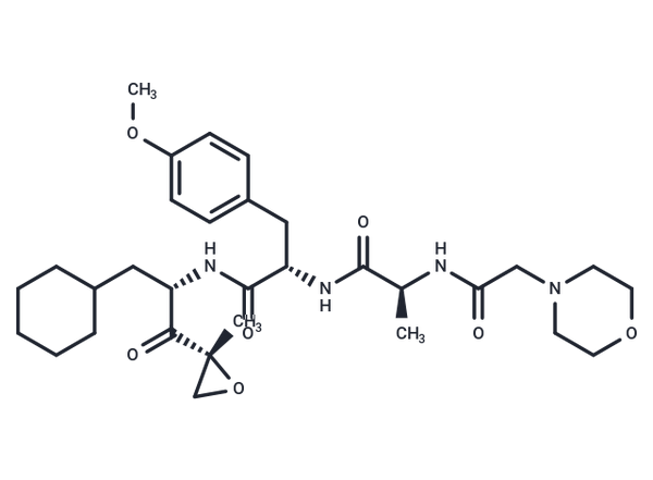 LU-005i – Figure 1 of 1