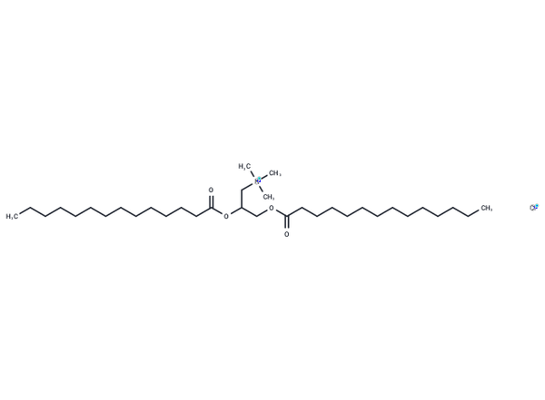 DMTAP – Figure 1 of 1