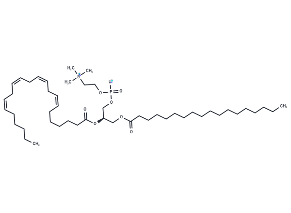 1-Stearoyl-2-Adrenoyl-sn-glycero-3-PC – Figure 1 of 1