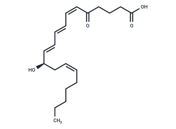 5-oxo Leukotriene B4 – Figure 1 of 1