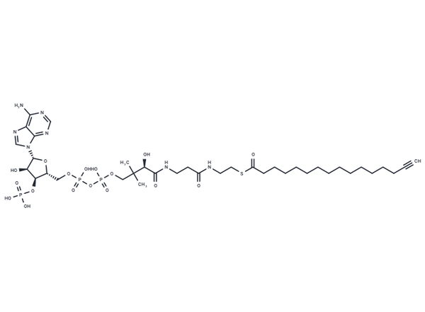Palmitoyl Alkyne-Coenzyme A – Figure 1 of 1
