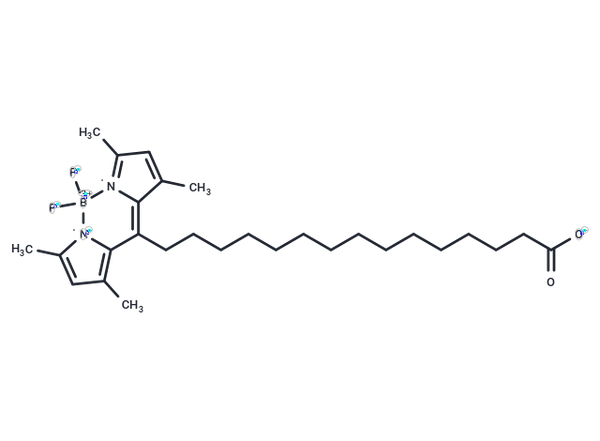 BODIPY-Palmitate – Figure 1 of 1