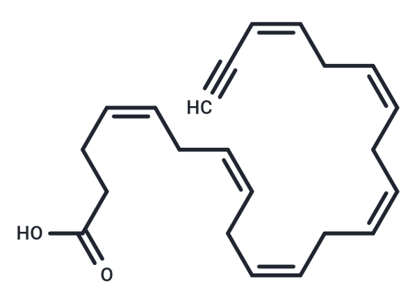 Docosahexaenoic Acid Alkyne – Figure 1 of 1