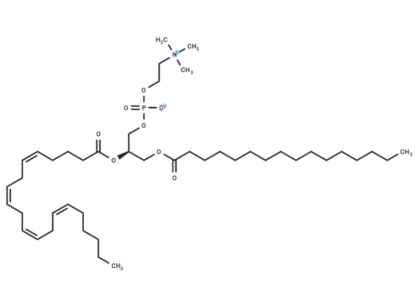1-Palmitoyl-2-Arachidonoyl-sn-glycero-3-PC – Figure 1 of 1