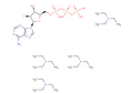 2'-Fluoro-2'-deoxy-arabinoadenosine  5'-triphosphate triethyl ammonium salt – Figure 1 of 1
