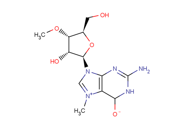 N7-Methyl-3'-O-methyl guanosine – Figure 1 of 1